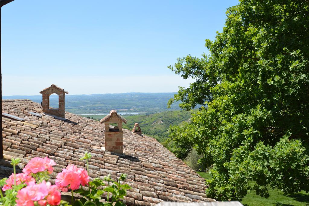 Luxury Villa Colle Dell'Asinello ,Proprietari ,Villa In Esclusiva Near Orvieto Guardea Екстериор снимка