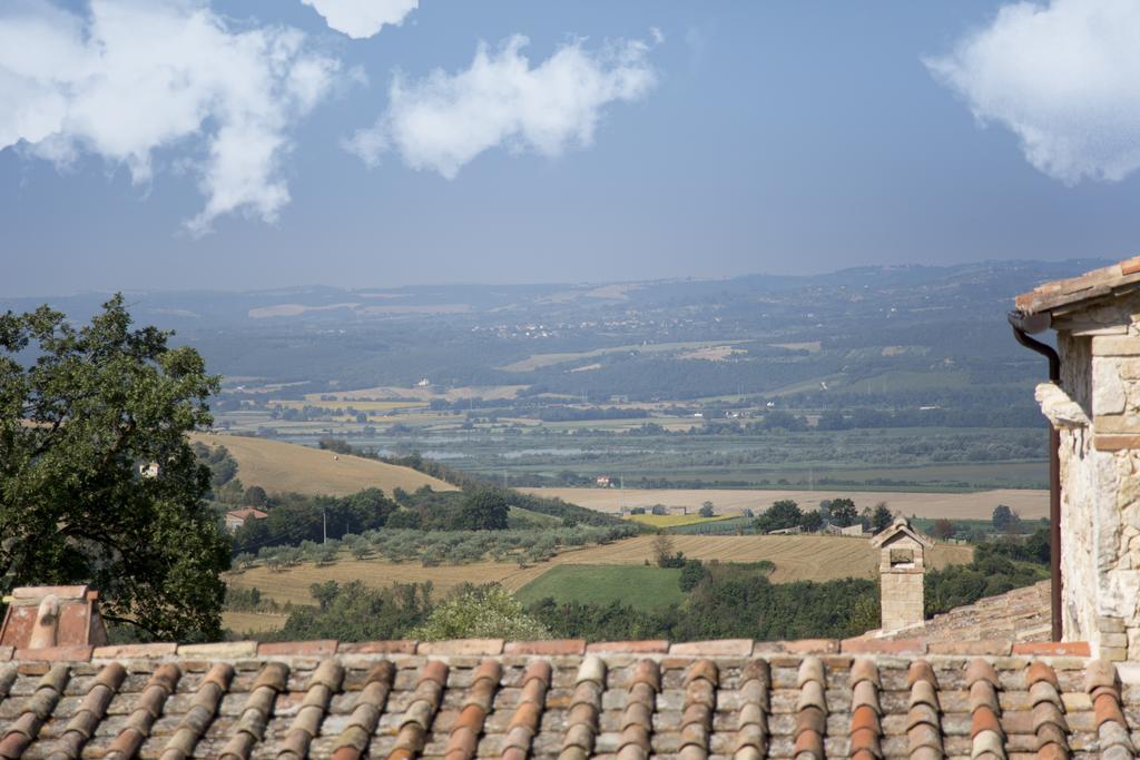Luxury Villa Colle Dell'Asinello ,Proprietari ,Villa In Esclusiva Near Orvieto Guardea Екстериор снимка